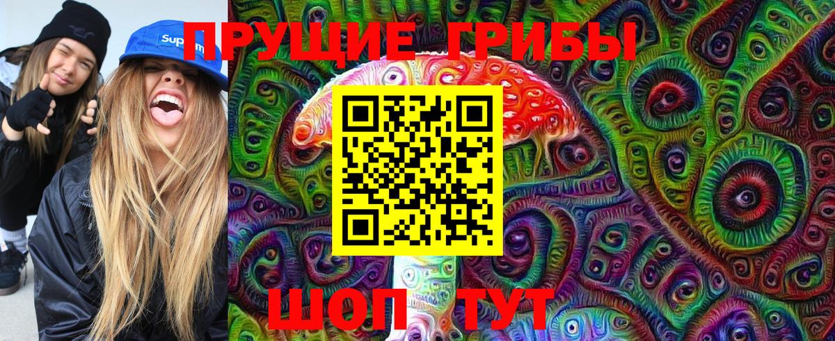 Шарыпово  Галлюциногенные грибы Psilocybine cubensis  Галлюциногенные грибы Psilocybe  Вход с VPN 