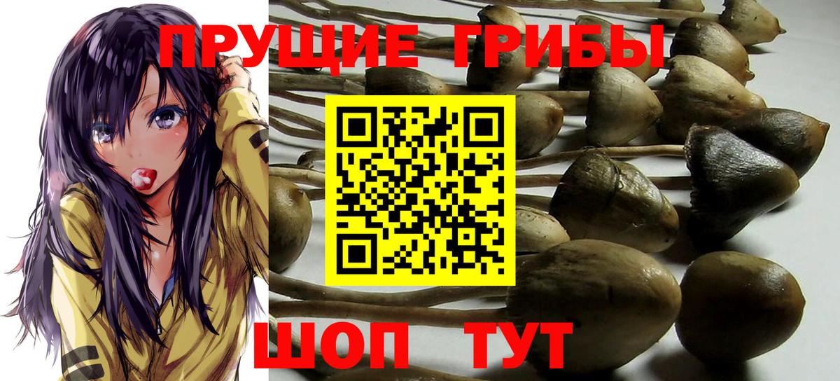 Псилоцибиновые грибы мухоморы Шарыпово